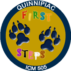 icm505-B01-first-steps.png